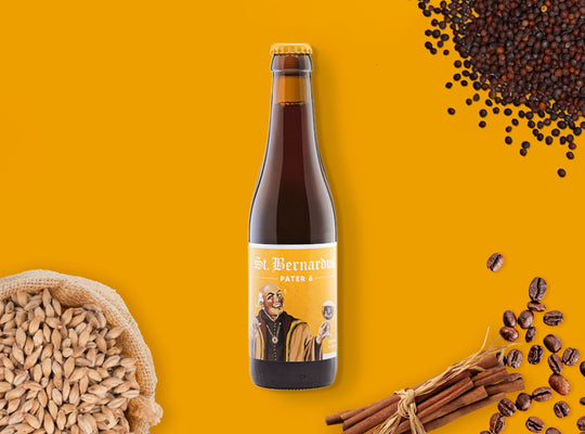 St. Bernardus Pater 6 Belgian Dubbel