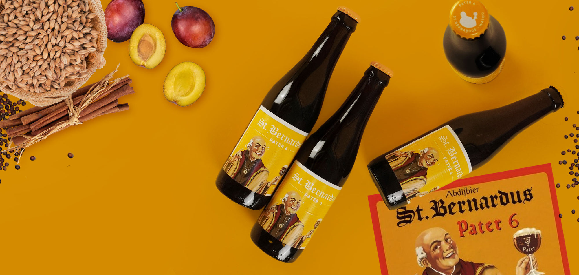 St. Bernardus Pater 6 Belgian Dubbel