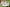 White Claw Variety Set #1 (Pineapple, Lime, Black Cherry, Cranberry)