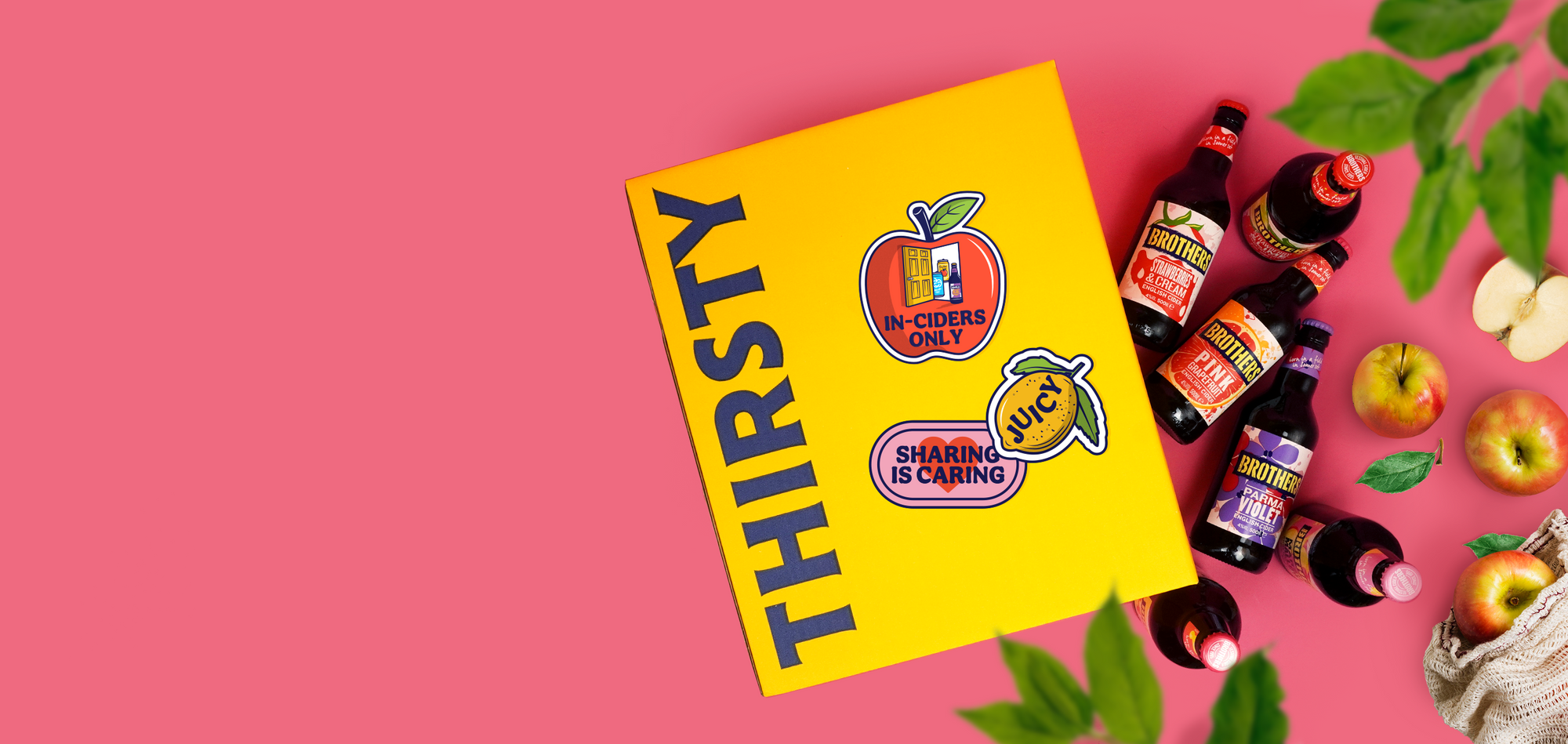 Thirsty x Brothers Cider Variety Box